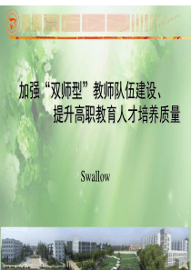 加强“双师型”教师队伍建设、提升高职教育人才培养质量