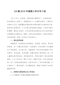 2015年镇维稳工作半年总结