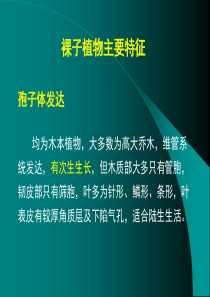 第十二章 裸子植物主要特征