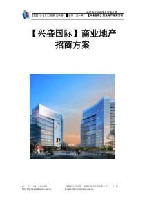 兴盛国际商业地产招商方案