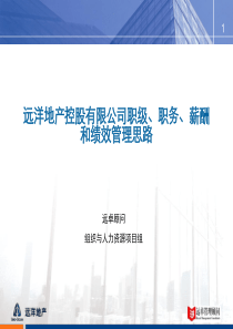 地产控股有限公司职级、职务、薪酬和绩效管理思路