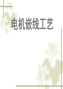 嵌线培训
