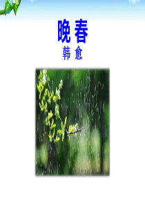《晚春》PPT优秀课件1