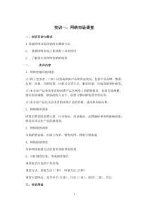 86网络营销实训指导书