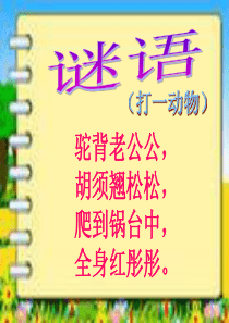 小虾课件ppt