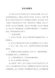 安全自查报告