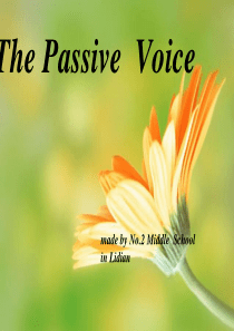 初中英语被动语态课件2