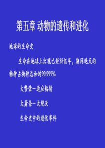 地球的生命史