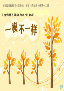 四年级美术湘版第十二课一模不一样