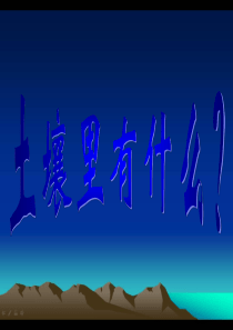 《土壤里有什么》课件