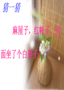 新课标人教版一年级语文上册《小松鼠找花生》教学课件