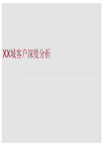 客户深度分析报告课件