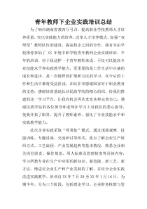 青年教师下企业实践培训总结