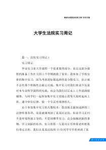 大学生法院实习周记