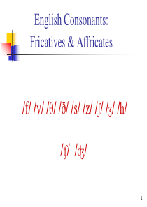 fricatives_and_affricates