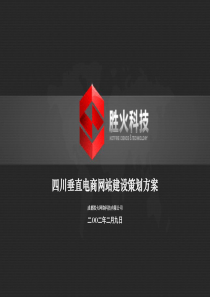 电子商务网站建设策划方案