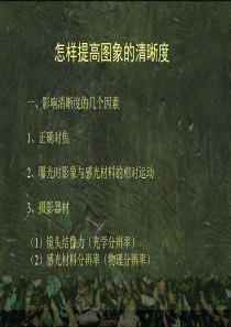 摄影艺术昆虫摄影