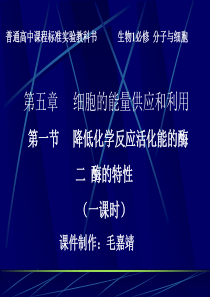 《酶的特性》说课课件