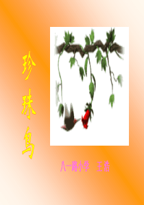 精品课件21《珍珠鸟》ppt课件(4)