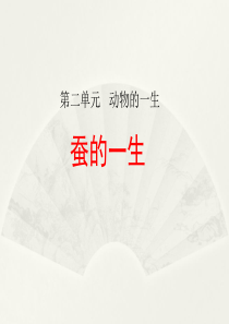 2020教科版小学科学三年级下册《蚕的一生》课件