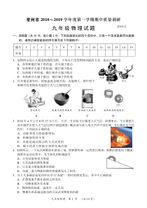 江苏省常州市2018～2019学年度第一学期期中质量调研九年级物理试卷