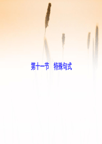 2016届高考英语(北师大版)总复习课件：语法专项突破-第11节+特殊句式