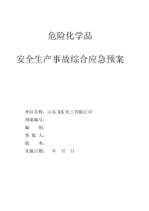 危险化学品 安全生产事故综合应急预案