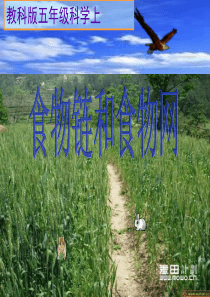 1-5.食物链和食物网