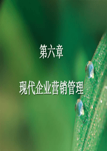 第六章现代企业营销管理第1-2节