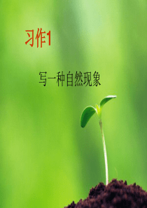 写一种自然现象