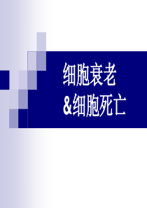 细胞衰老细胞死亡