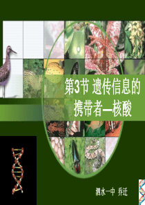 核酸一轮复习(整理)