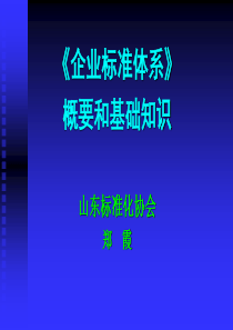 企业标准体系培训(基础知识)