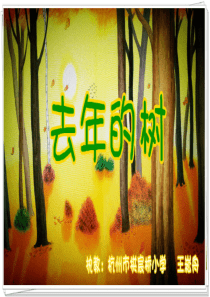 75王崧舟去年的树