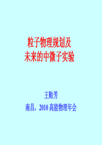 粒子物理规划及未来的中微子实验