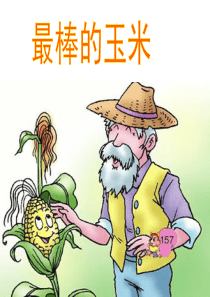 《最棒的玉米》课件