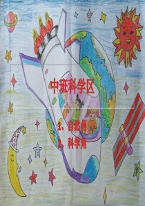 幼儿园中班科学区材料投放