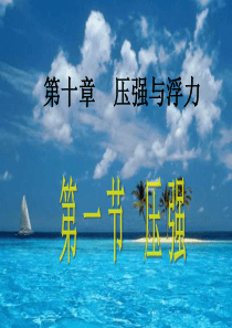 压力和压强课件