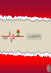 企业战略管理第5章