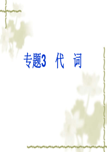 2011年中考英语复习课件专题3 代词
