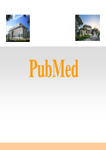 PubMed教程