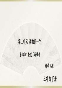 2020教科版小学科学三年级下册《蚕变了新模样》练习题课件