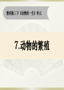 2020教科版小学科学三年级下册《动物的繁殖》课件2