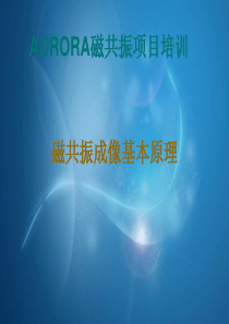 磁共振成像基本原理-8-27培训