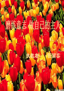 磨练意志主题班会