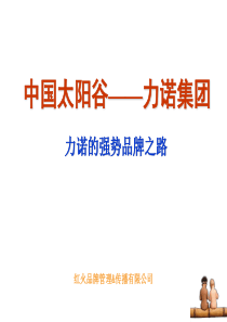 力诺集团品牌推广方案