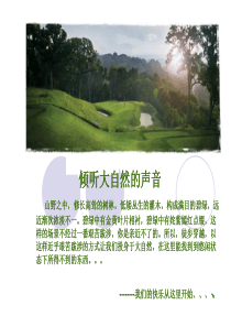 丛林穿越的魅力