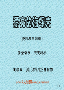 漂亮的海螺壳