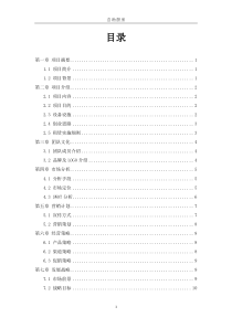 创业策划书
