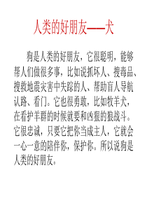 人类的好朋友――犬
